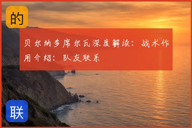 贝尔纳多席尔瓦深度解读:战术作用介绍:队友联系